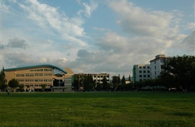 促进2020年高校毕业生就业创业若干措施的通知